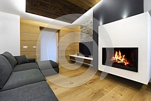 Modern wooden living room interior with sofa and fireplace