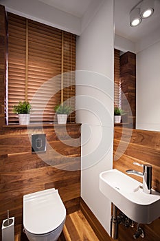 Modern wooden restroom