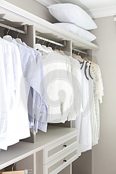 Modern wooden wardrobe with clothes hanging on rail