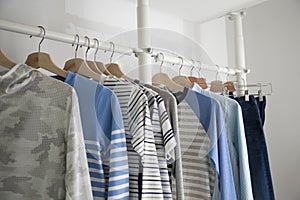 Modern wooden wardrobe with clothes hanging on rail