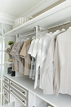 Modern wooden wardrobe with clothes hanging on rail