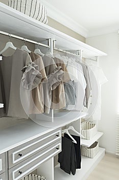 Modern wooden wardrobe with clothes hanging on rail