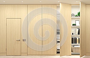 Modern wooden wardrobe and minimalist doors furniture