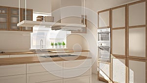 Modern wooden and white kitchen with island, parquet herringbone floor, architecture minimalistic interior