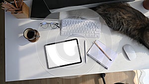 Modern workplace with digital tablet, computer, notebook, coffee cup and cat lying on white desk.