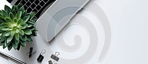 The modern workspace featuring a laptop and a succulent plant. AI generated image