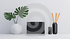 Modern workspace with plant and laptop