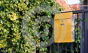 Modern yellow mail box on black fence with beautiful yellows background