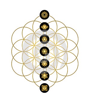 Modern yoga design chakra icons in gold color