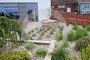 Modern zen landscaped garden