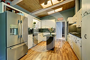 Modernized kitchen with blue walls.