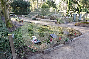 Modest burial sites in Cologne\'s Südfriedhof. Winter grave decoration with a few flowers.