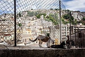 Modica, sicilian village