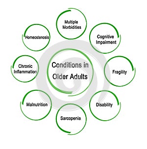 Conditions in Older Adult