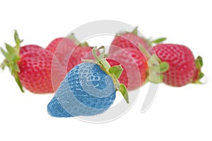 Modified food - strawberry