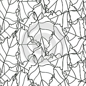 Modular pattern vector leaf photo