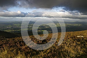 Moel Famau View