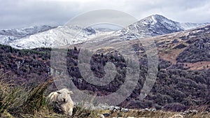 Moel Siabod Snowdonia National Park Nort Wales
