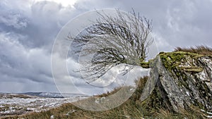 Moel Siabod Snowdonia National Park Nort Wales