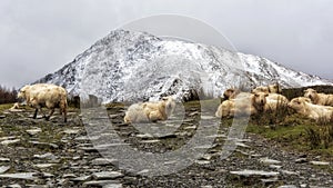 Moel Siabod Snowdonia National Park Nort Wales