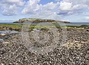 Moelfre Island