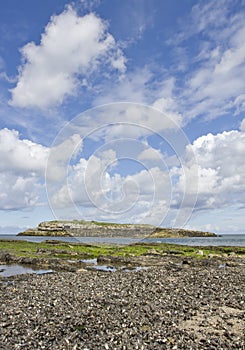 Moelfre Island, Moelfre