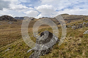 Moelwyn Mountain View