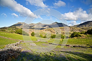 Moelwyn range