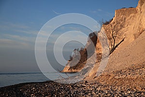 Moens Klint, high limestone cliff ,coast of Denmark