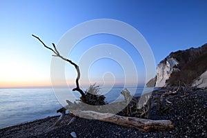 Moens Klint, high limestone cliff ,coast of Denmark