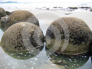 Moeraki Boulders close up