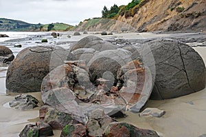 Moeraki Boulders on Koehohe beach in New Zealand
