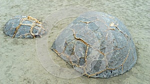 Moeraki Boulders New Zealand 04