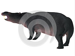 Moeritherium Mammal Tail