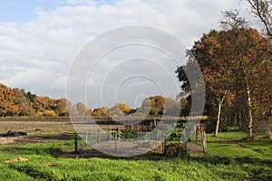 Moestuin, Vegetable garden