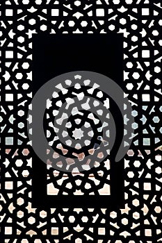 Moghul thomb window pattern