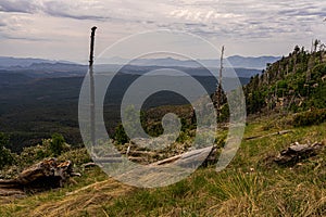 Mogollon Rim Arizona