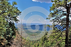 Mogollon Rim, Sitgreaves Forest, Yavapai County, State of Arizona, United States