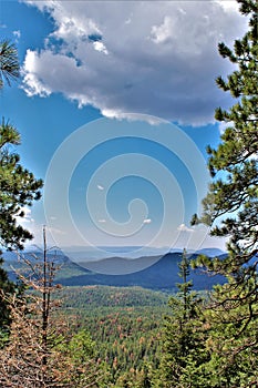 Mogollon Rim, Sitgreaves Forest, Yavapai County, State of Arizona, United States