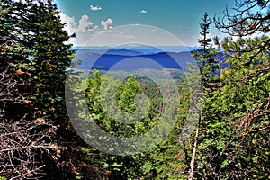 Mogollon Rim, Sitgreaves Forest, Yavapai County, State of Arizona, United States