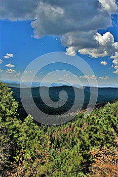 Mogollon Rim, Sitgreaves Forest, Yavapai County, State of Arizona, United States