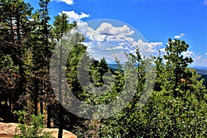 Mogollon Rim, Sitgreaves Forest, Yavapai County, State of Arizona, United States