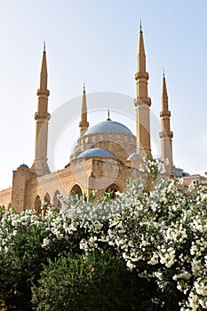 Mohammad Al-Amin (Hariri) Mosque with Flowers in Foreground, Beirut photo