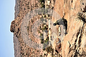 Mohammedan prayer. Somalia