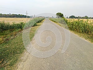 Mohangarh village in India agriculture farm field with empty roads during lockdown covid 19