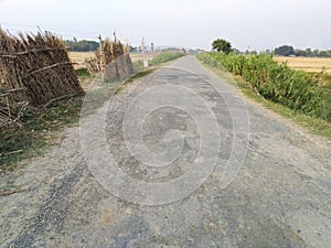 Mohangarh village in India agriculture farm field with empty roads during lockdown covid 19