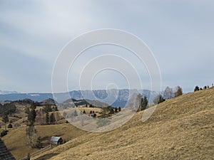 Moieciu de Jos, landscape