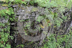 Moine Schist rocks on sidewall of gorge, ferns and trees photo