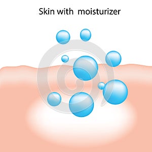 Moisturizer absorbation