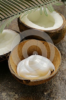 Moisturizer natural coconut cream for face